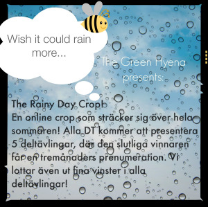 rainydaycrop